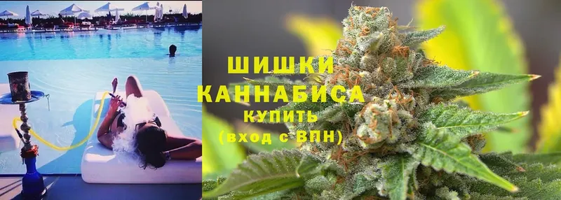 закладки  Каневская  Шишки марихуана THC 21% 